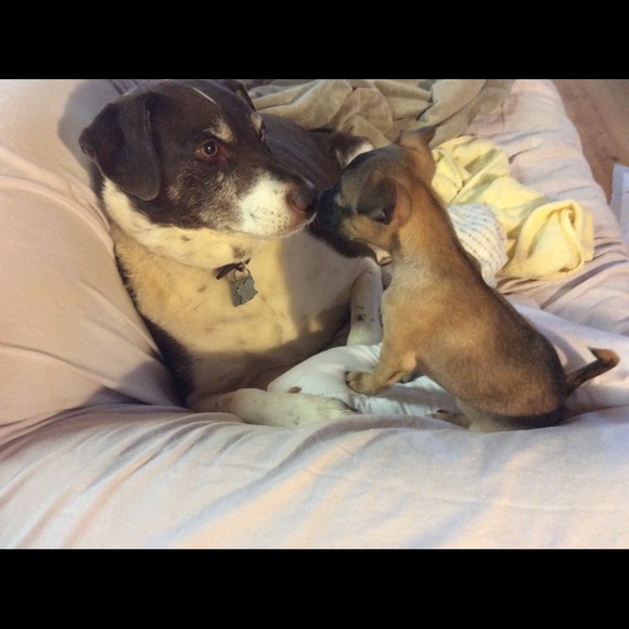 Meet your Posher, Victoria - Picture 6 of 14